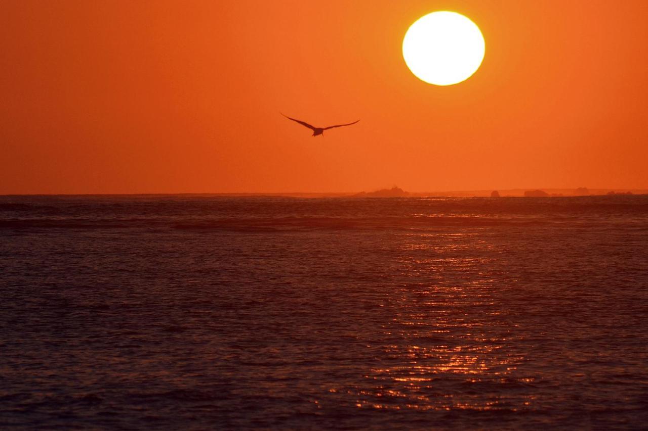 Sunset Chill Out Bed & Breakfast Sámara Εξωτερικό φωτογραφία